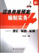 应急救援预案编制实务  理论·实践·实例