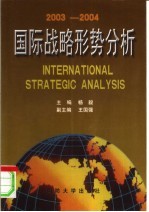 国际战略形势分析  2003-2004