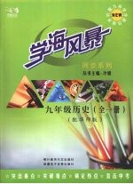 学海风暴  同步系列  九年级  历史  （全一册） （ 配华师版）