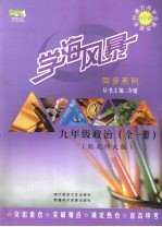 学海风暴  同步系列  九年级  政治  （全一册）（配北师大版）