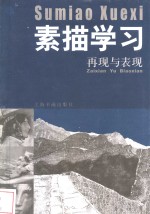 素描学习  再现与表现