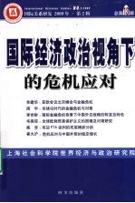 国际经济政治视角下的危机应对  国际关系研究  2009年  第2辑  总第13辑