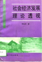 社会经济发展理论透视