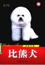 比熊犬：白色天使