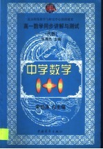 高一数学同步讲解与测试  代数