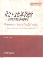 社会主义经济学通论  中国转型期经济问题研究