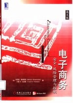 电子商务：安全、风险管理与控制：英文