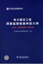 电力建设工程质量监督检查典型大纲  火电、送变电部分  增补版