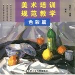 美术培训规范教学·色彩篇