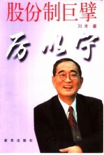 股份制巨擘厉以宁