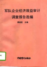 军队企业经济效益审计调查报告选编