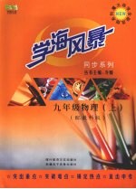 学海风暴  同步系列  九年级物理  （上册）  （配教科版）