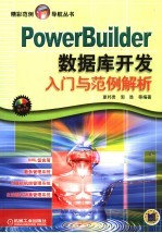 PowerBuilder数据库开发入门与范例解析