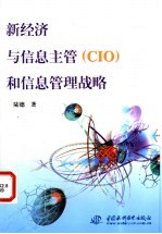 新经济与信息主管 CIO 和信息管理战略