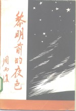 黎明前的夜色