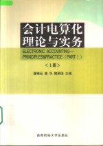 会计电算化理论与实务  上