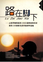 路在脚下  云南省城镇退役士兵自谋职业和农村退役士兵创业先进事迹材料选编