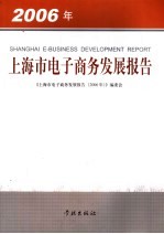 上海市电子商务发展报告  2006年