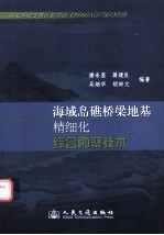 海域岛礁桥梁地基精细化综合勘察技术