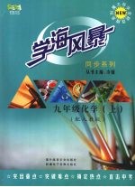 学海风暴  阅读系列  九年级  化学  （上册）  （配人教版）