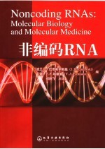 非编码RNA