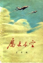 鹰击长空