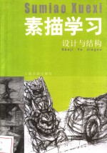 素描学习  设计与结构