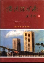 临涣煤矿志  1985年-1995年