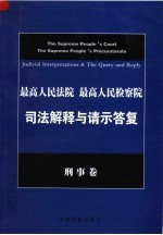 最高人民法院  最高人民检察院司法解释与请示答复  刑事卷  第2版