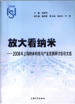 放大看纳米  2008年上海纳米科技与产业发展研讨会论文选