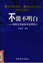 不能不明白  税收实务疑难及处理技巧