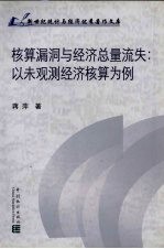 核算漏洞与经济总量流失  以未观测经济核算为例