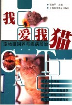 我爱我猫  宠物猫饲养与疾病防治