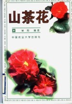 山茶花