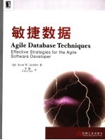 敏捷数据 effective strategies for the agile software developer