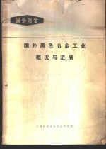 国外黑色冶金工业概况与进展