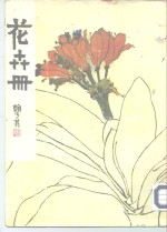 花卉册