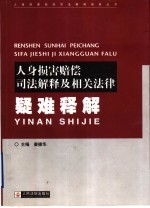 人身损害赔偿司法解释及相关法律疑难释解