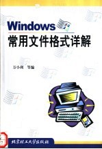 Windows常用文件格式详解