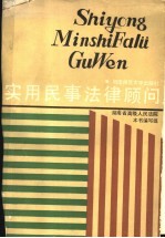 实用民事法律顾问