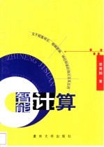 智能计算  关于粗集理论、模糊逻辑、神经网络的理论及其应用