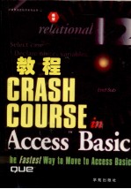 Access Basic教程