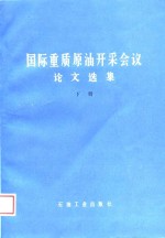 国际重质原油开采会议论文选集  下