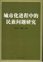 城市化进程中的民族问题研究