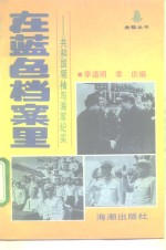 在蓝色档案里  共和国领袖与海军纪实