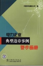 电力企业典型违章事例警示画册