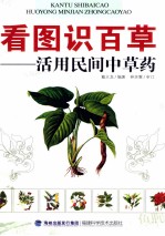 看图识百草  活用民间中草药