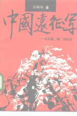 中国远征军  血战滇、缅、印纪实