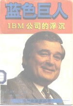 蓝色巨人 IBM公司的浮沉