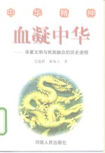 血凝中华  华夏文明与民族融合的历史进程